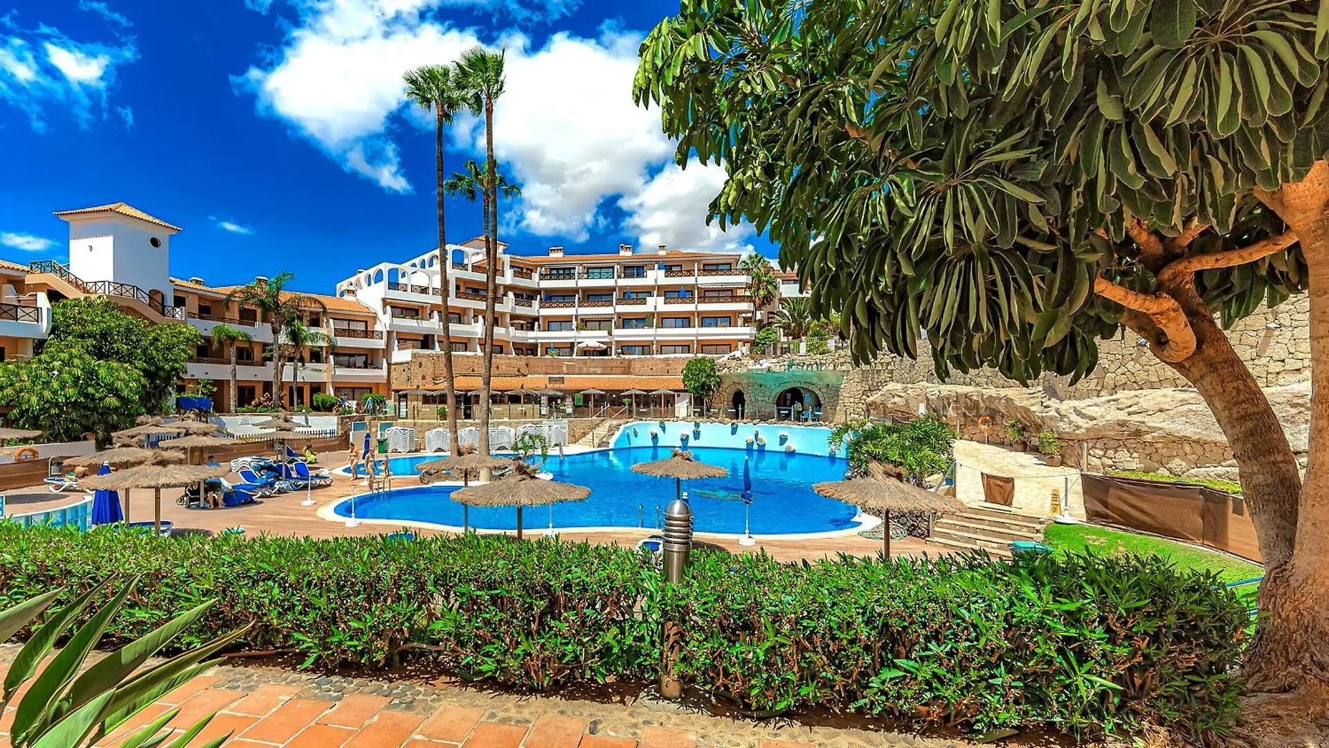 Albatros Golf Del Sur Apartment San Miguel de Abona